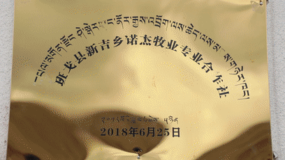 微信图片_20240715114724.gif