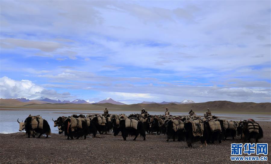 (专发新华网西藏频道)（图文互动）天边的驮盐队——藏北牧人远去的背影(3)
