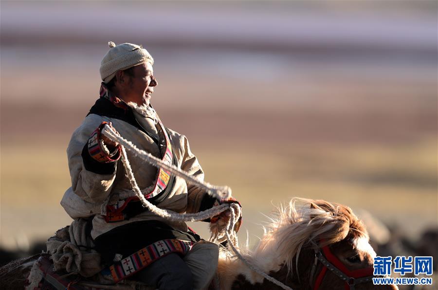 (专发新华网西藏频道)（图文互动）天边的驮盐队——藏北牧人远去的背影(6)