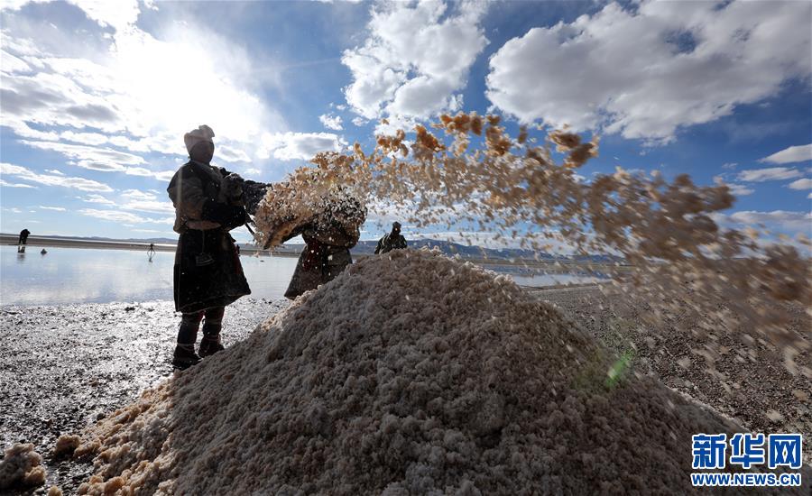(专发新华网西藏频道)（图文互动）天边的驮盐队——藏北牧人远去的背影(14)