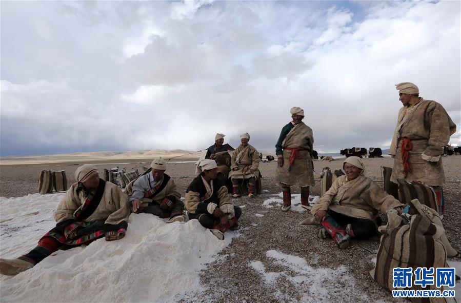 (专发新华网西藏频道)（图文互动）天边的驮盐队——藏北牧人远去的背影(15)