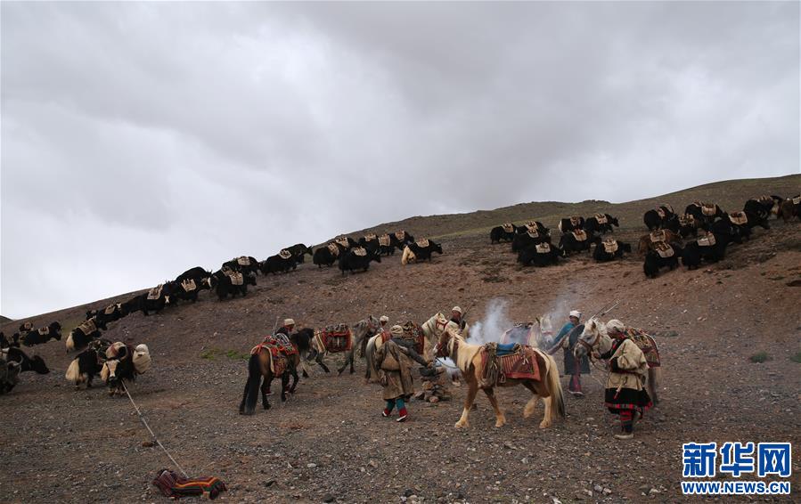 (专发新华网西藏频道)（图文互动）天边的驮盐队——藏北牧人远去的背影(22)