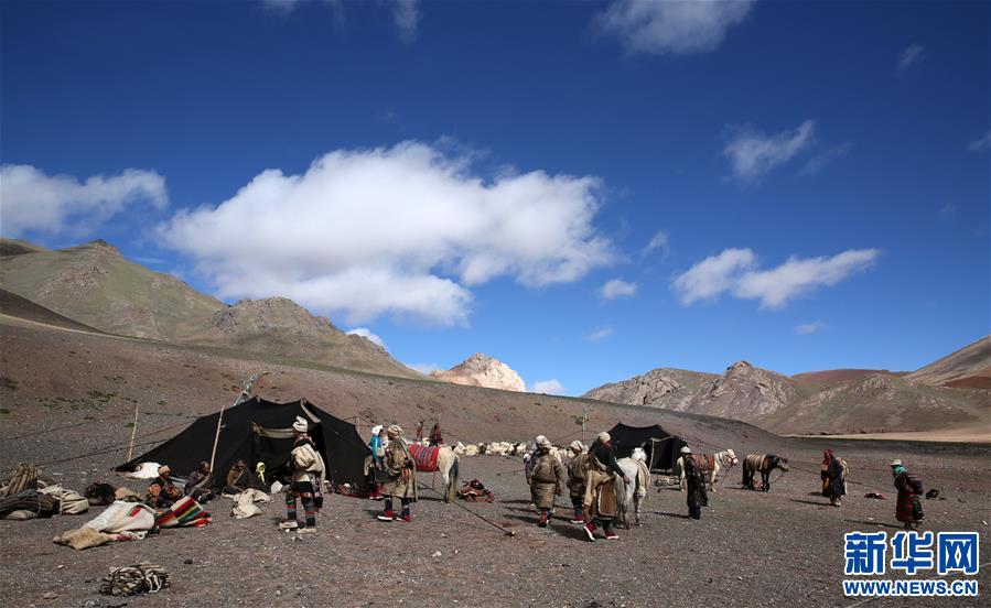 (专发新华网西藏频道)（图文互动）天边的驮盐队——藏北牧人远去的背影(24)