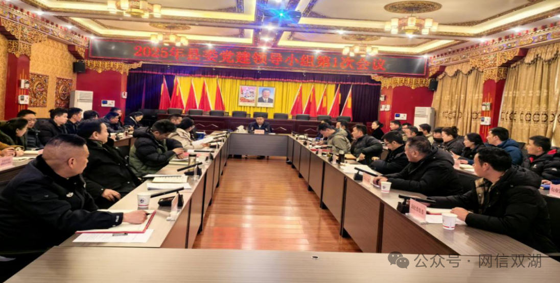 双湖县召开2025年党的建设工作领导小组第1次会议.png