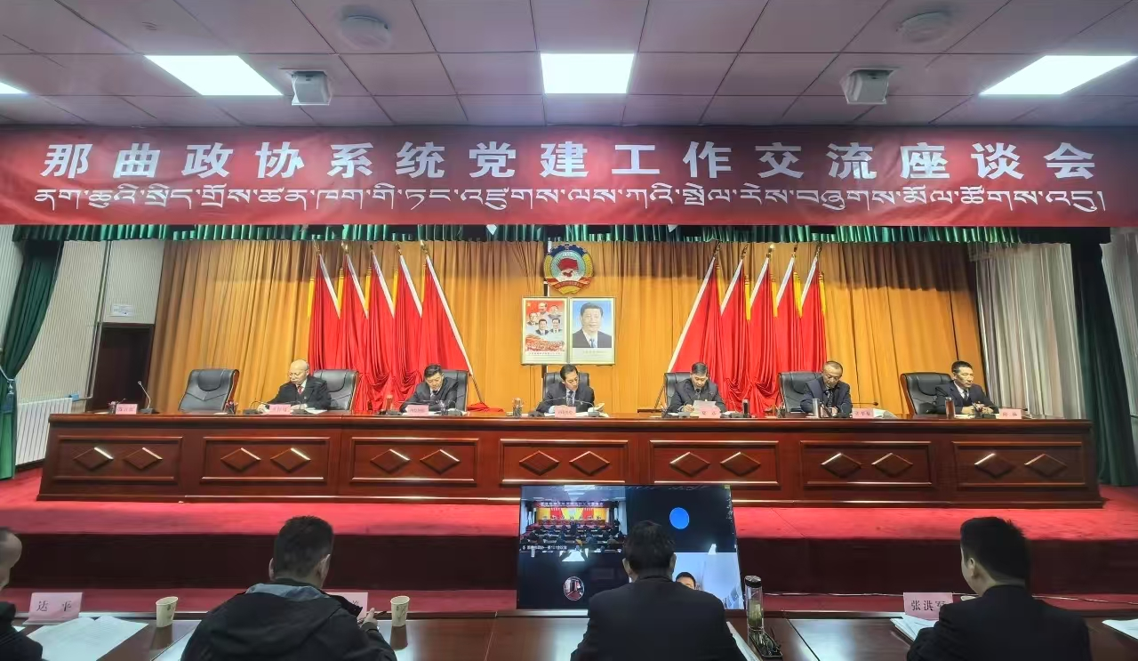 使命在肩 接续奋进——党建引领强根基，筑牢共同思想政治基础.png