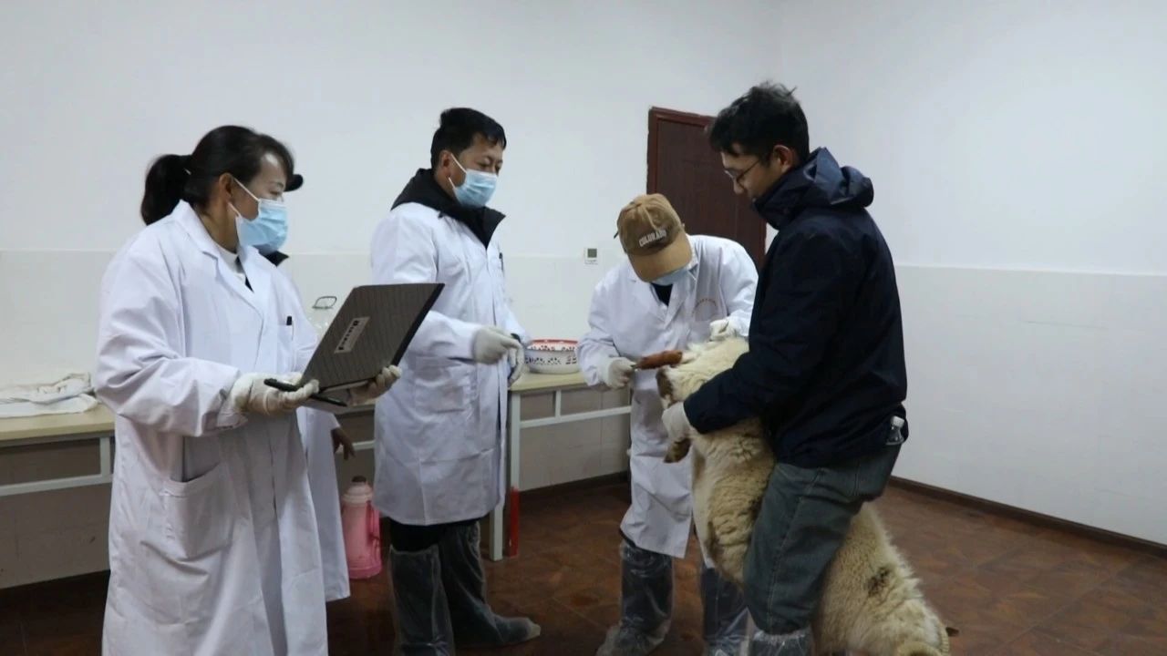 那曲市扎实推动科技为民服务走深走实.jpg